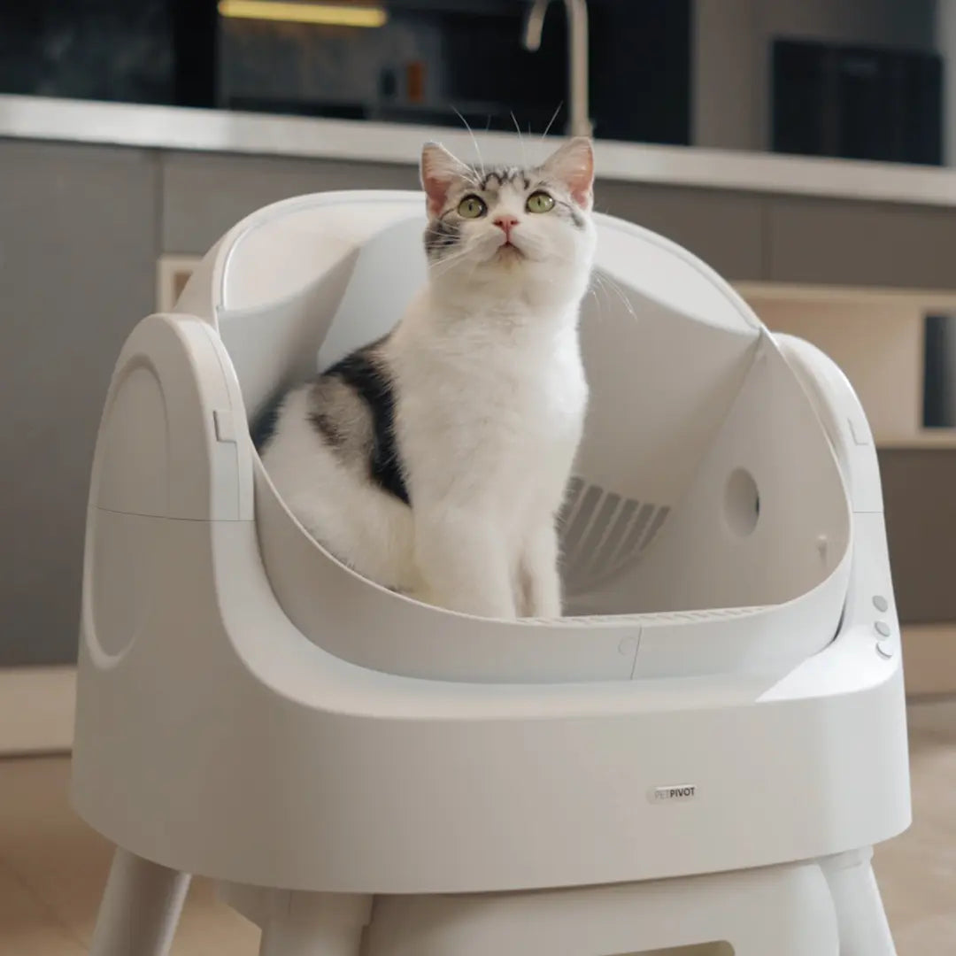 New Open Top Automatic Self Cleaning Litter Box for Multiple Cats