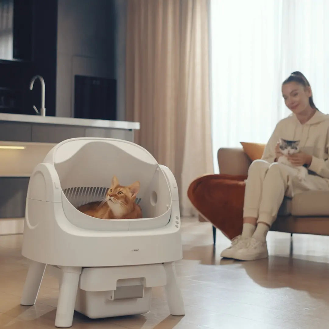 New Open Top Automatic Self Cleaning Litter Box for Multiple Cats